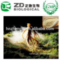China Wholesale Herbal Supplement Panax Ginseng Extract Powder